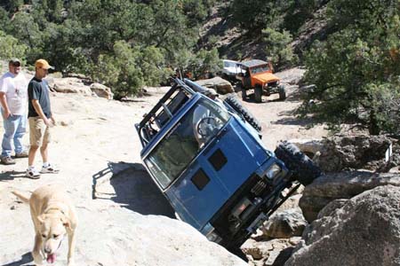 Billings 09